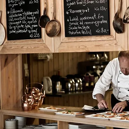 ホテル Hindsaeter 3*