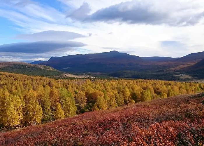 Hindsaeter 3* Hindseter