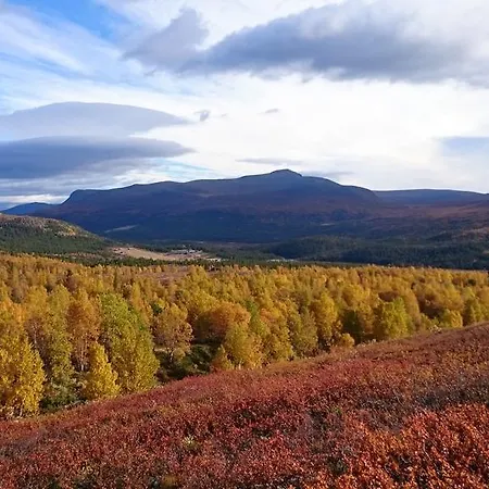 Hindsaeter 3* Hindseter